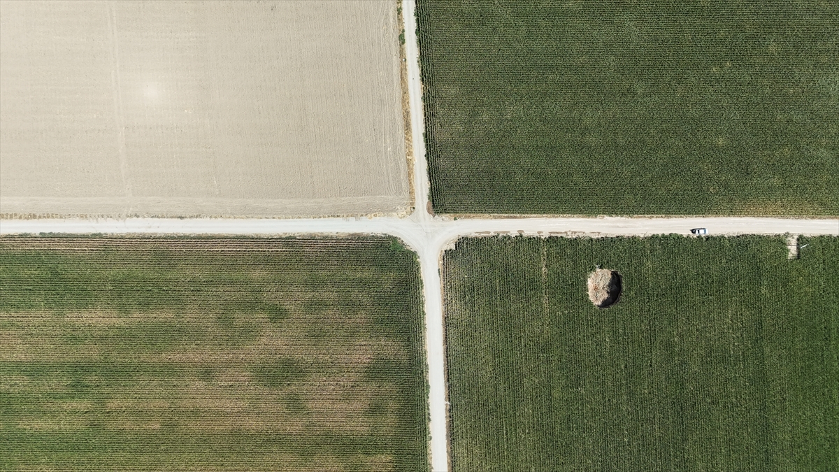 Karaman'da mısır tarlasında obruk oluştu - Görsel 5