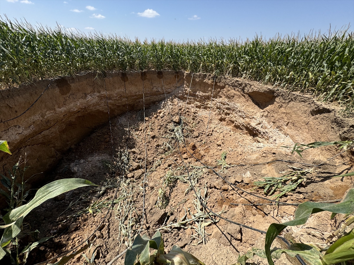 Karaman'da mısır tarlasında obruk oluştu - Görsel 7