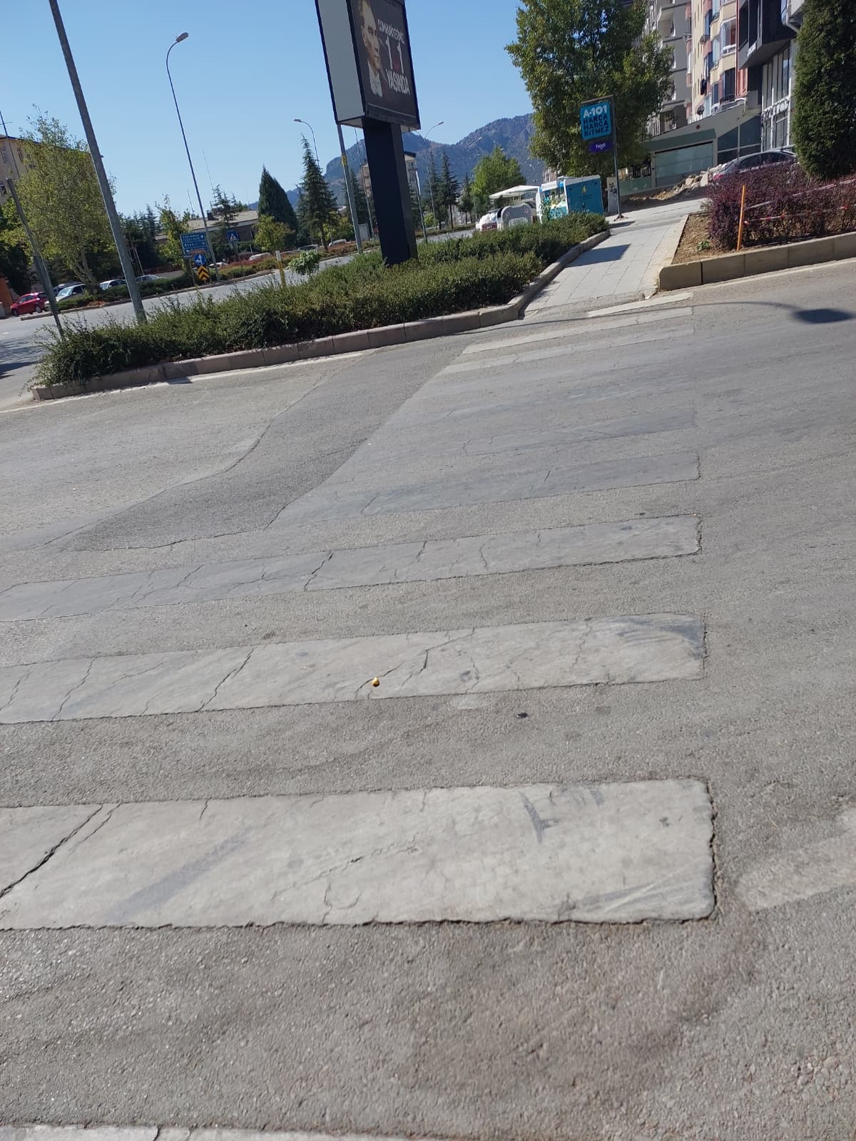 Seydişehir'de Yaya Geçidi Belirsizliği: "Okullar Açılmadan Önlem Alınsın" - Görsel 1