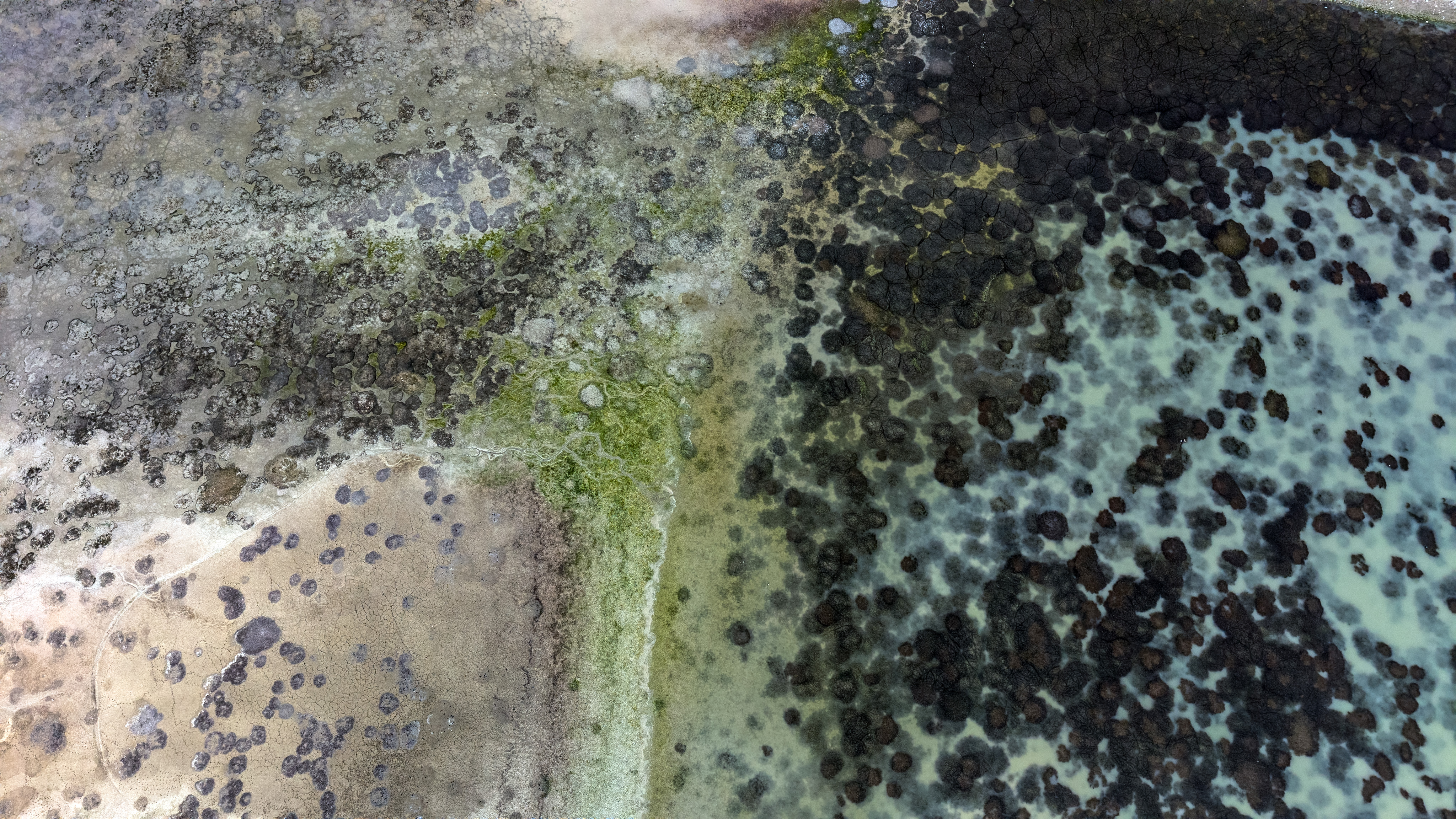 Konya'ya içme suyu sağlayan barajdaki doluluk oranı kritik seviyeye düştü - Görsel 1