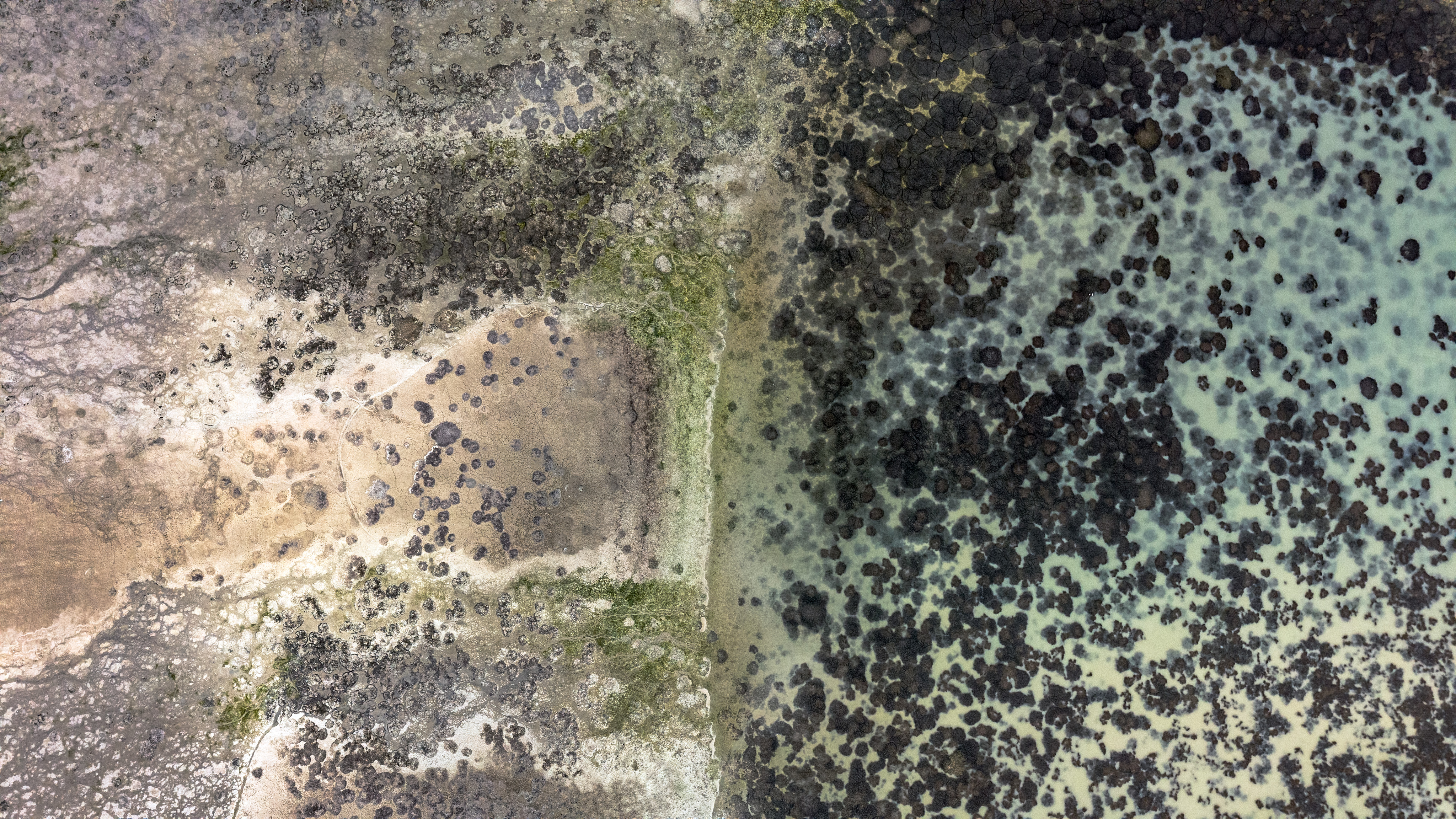 Konya'ya içme suyu sağlayan barajdaki doluluk oranı kritik seviyeye düştü - Görsel 5