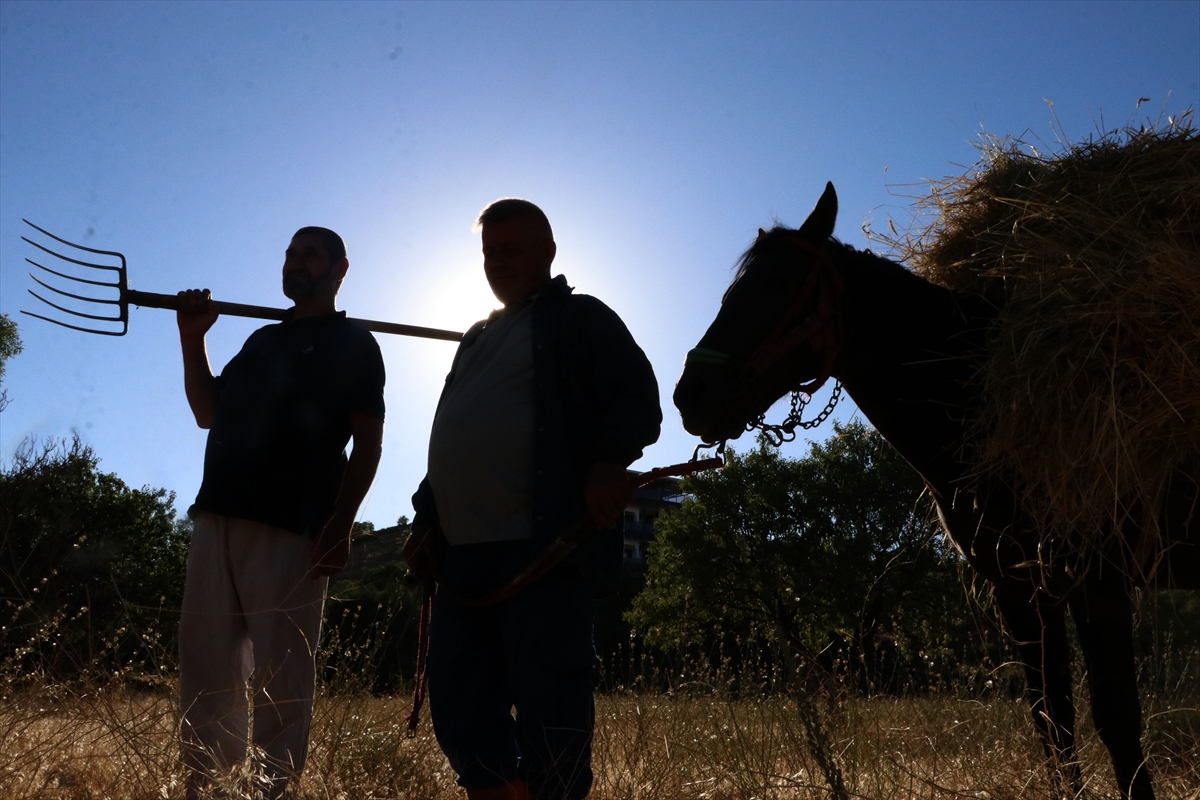 Düven sürme" geleneği Erciyes'in eteklerinde 3 arkadaş tarafından yaşatılıyor - Görsel 1