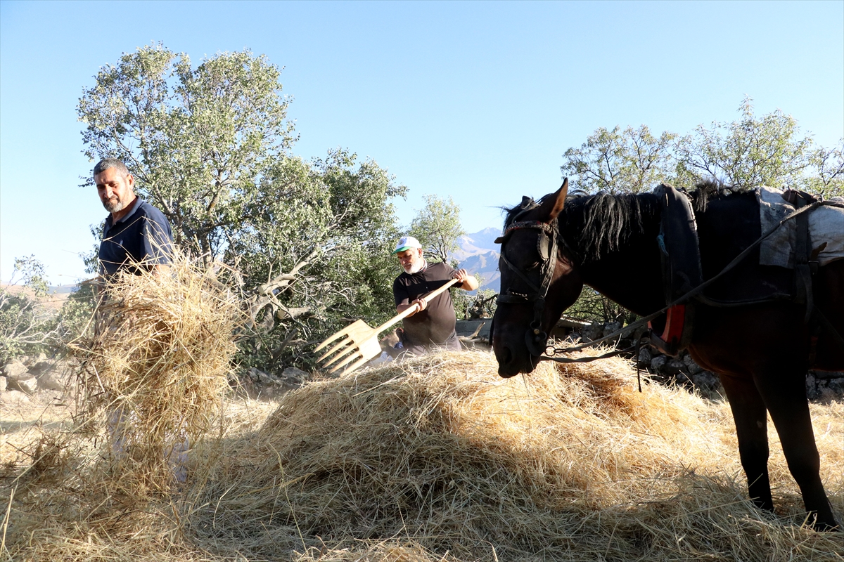 Düven sürme" geleneği Erciyes'in eteklerinde 3 arkadaş tarafından yaşatılıyor - Görsel 4