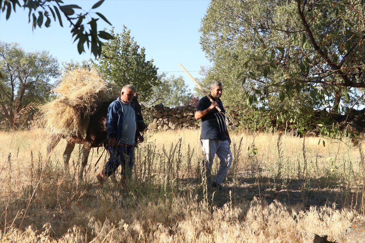 Düven sürme" geleneği Erciyes'in eteklerinde 3 arkadaş tarafından yaşatılıyor - Görsel 5