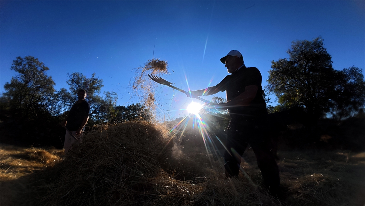 Düven sürme" geleneği Erciyes'in eteklerinde 3 arkadaş tarafından yaşatılıyor - Görsel 9
