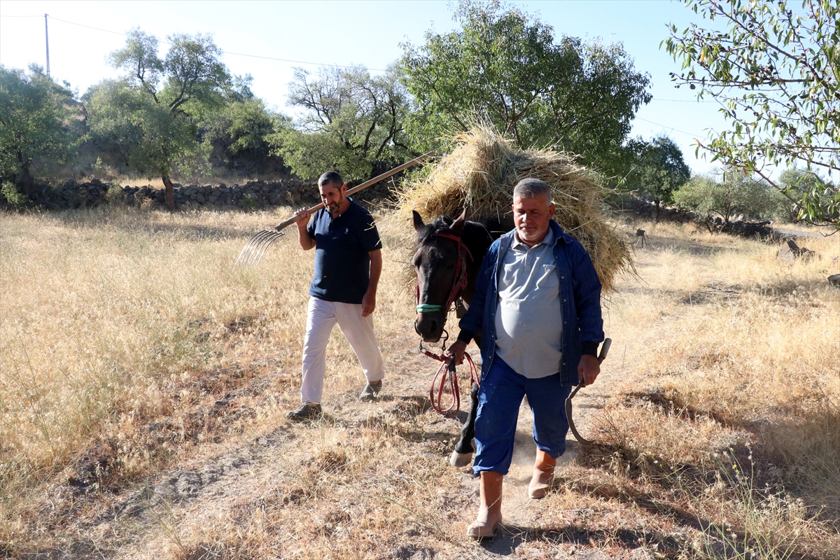 Düven sürme" geleneği Erciyes'in eteklerinde 3 arkadaş tarafından yaşatılıyor - Görsel 11