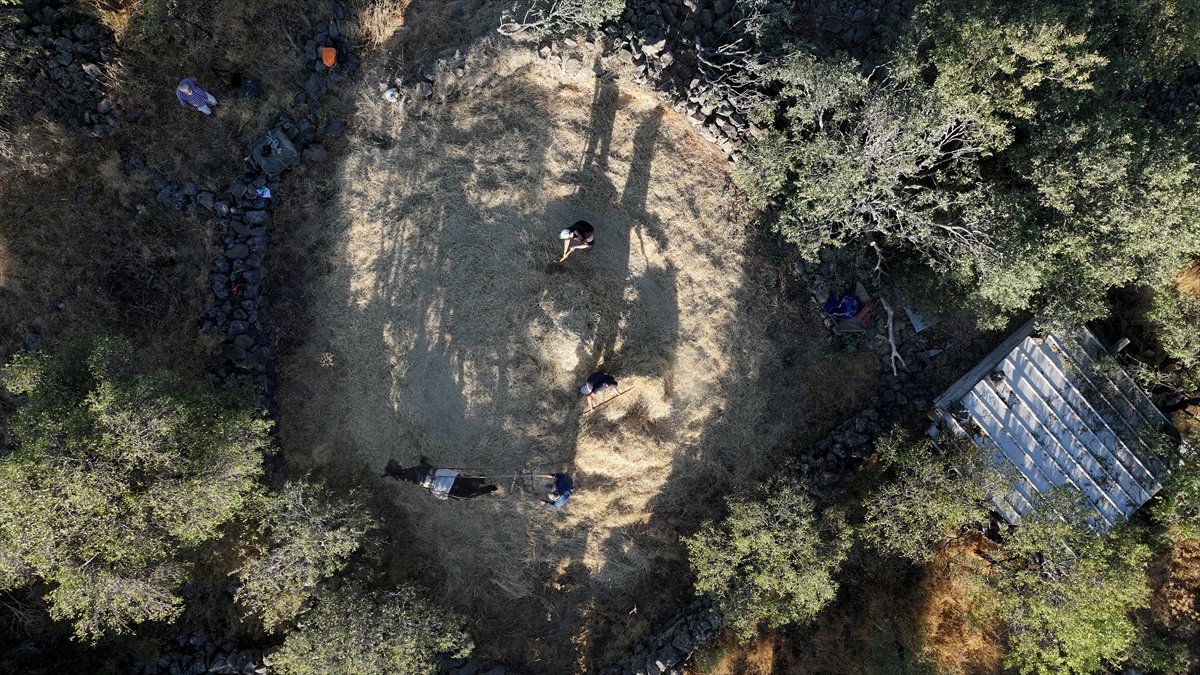 Düven sürme" geleneği Erciyes'in eteklerinde 3 arkadaş tarafından yaşatılıyor - Görsel 13