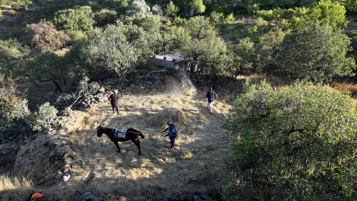 Düven sürme" geleneği Erciyes'in eteklerinde 3 arkadaş tarafından yaşatılıyor - Görsel 14