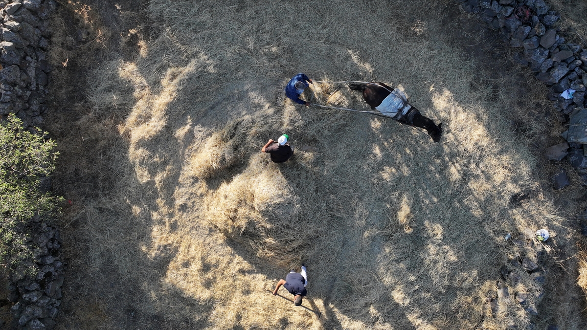 Düven sürme" geleneği Erciyes'in eteklerinde 3 arkadaş tarafından yaşatılıyor - Görsel 16