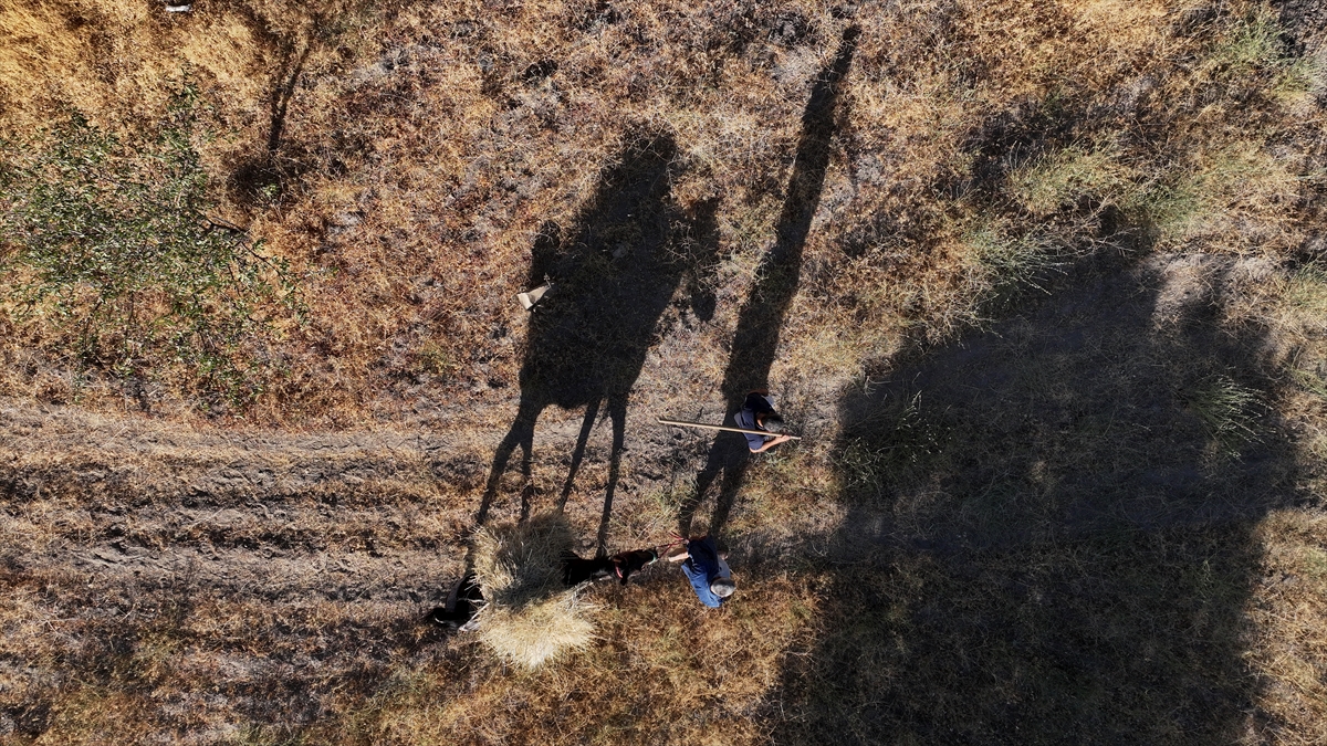 Düven sürme" geleneği Erciyes'in eteklerinde 3 arkadaş tarafından yaşatılıyor - Görsel 17