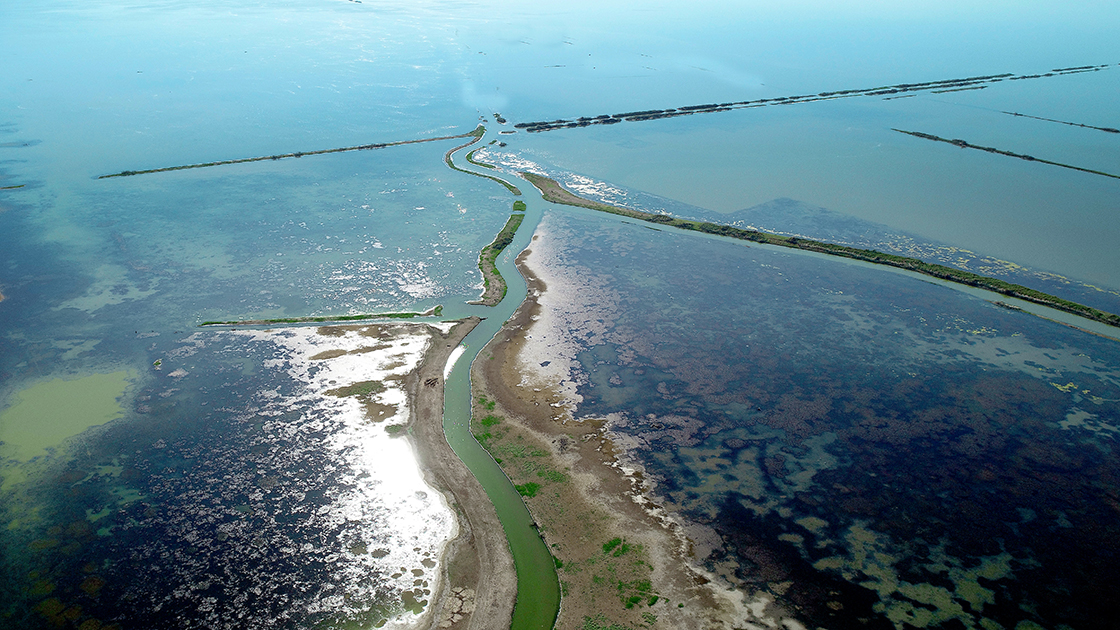 Kuraklık Alarmı: Çiftçiler ve Vatandaşlar Önlem Talebinde Bulundu - Görsel 1