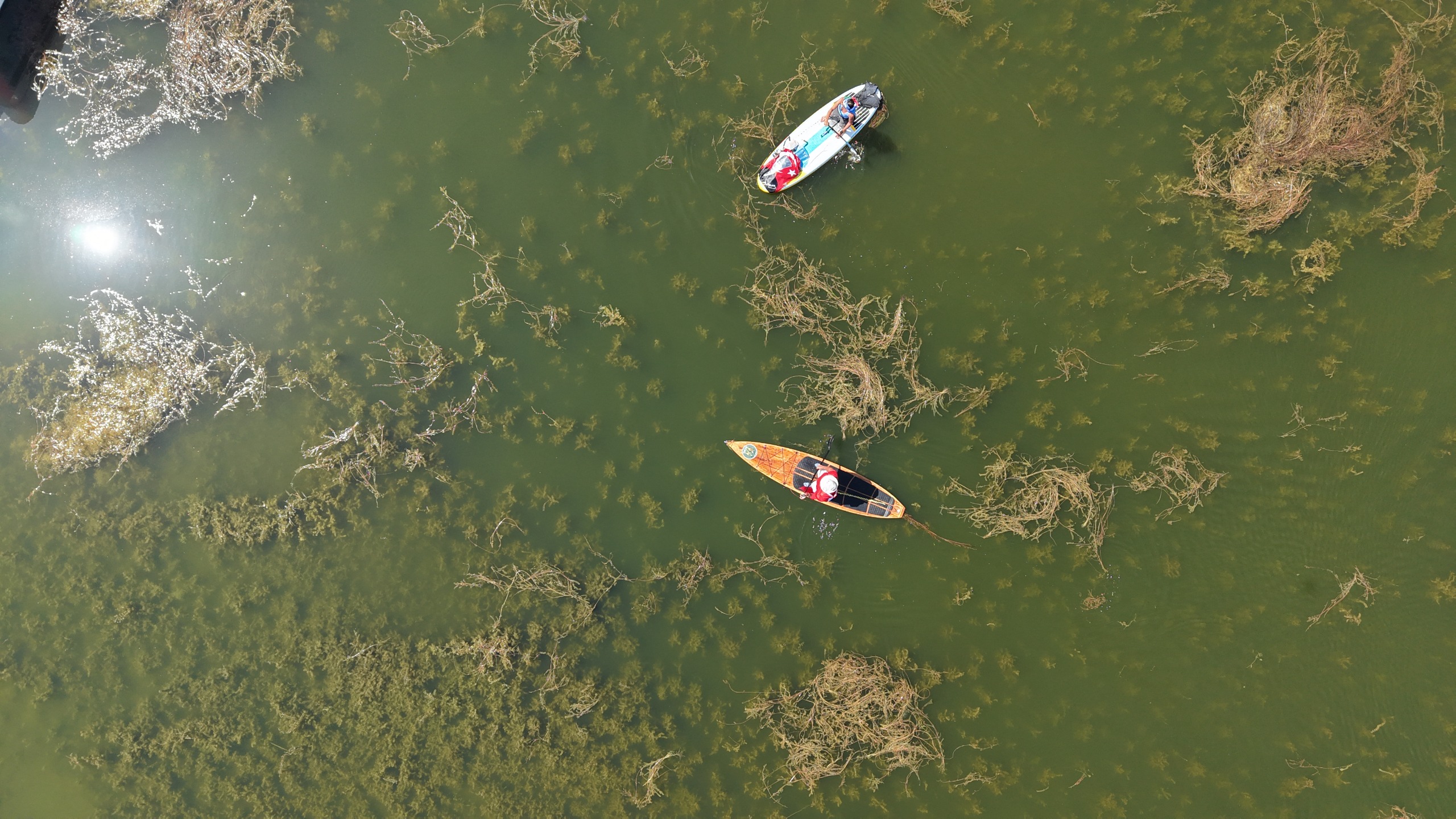 ‘İki devlet bir can Türkiye-Azerbaycan’ sloganıyla Beyşehir Gölü için kürek çektiler - Görsel 2