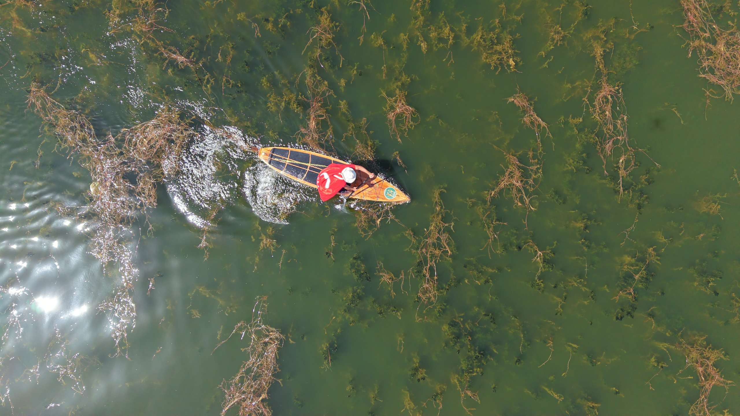 ‘İki devlet bir can Türkiye-Azerbaycan’ sloganıyla Beyşehir Gölü için kürek çektiler - Görsel 6