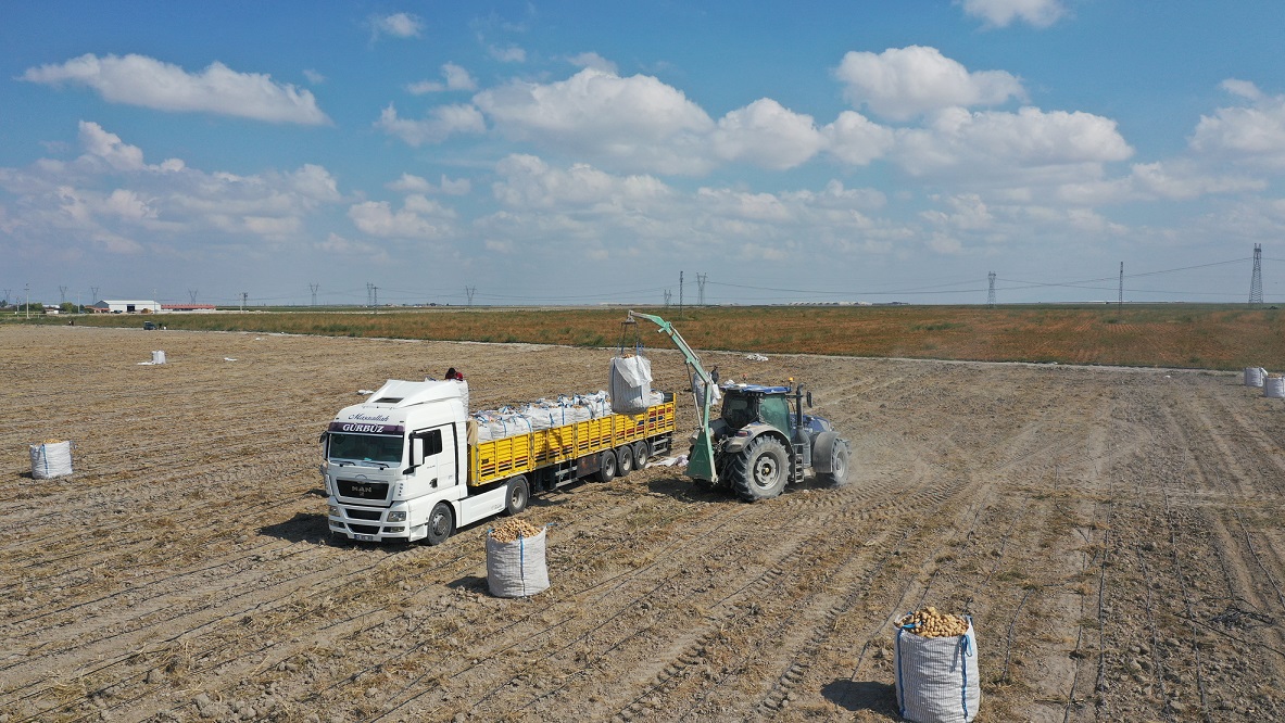 Erkoyuncu: 2027'de patates tohumunu dış alıma ihtiyaç duymadan üreteceğiz - Görsel 1