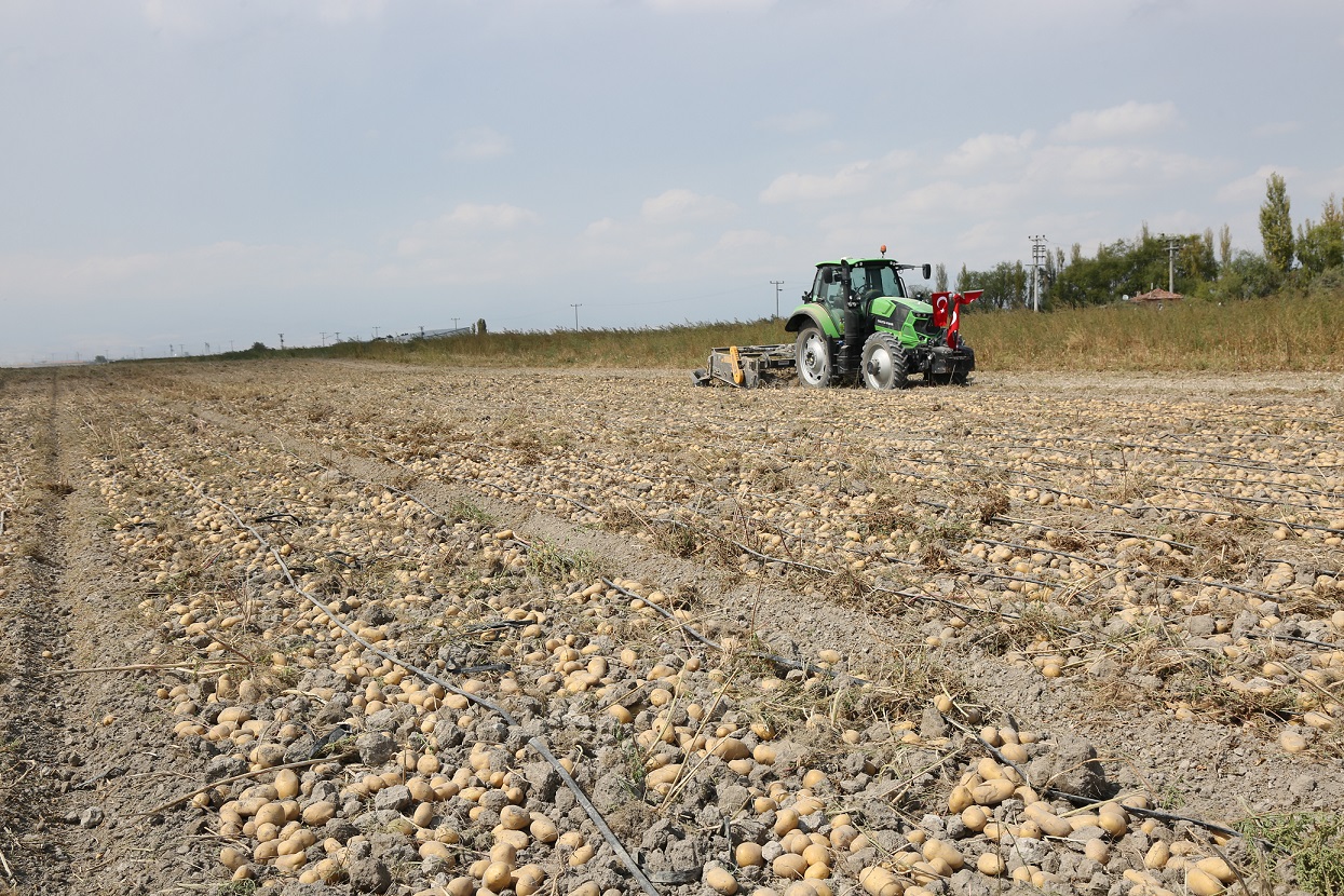 Erkoyuncu: 2027'de patates tohumunu dış alıma ihtiyaç duymadan üreteceğiz - Görsel 4