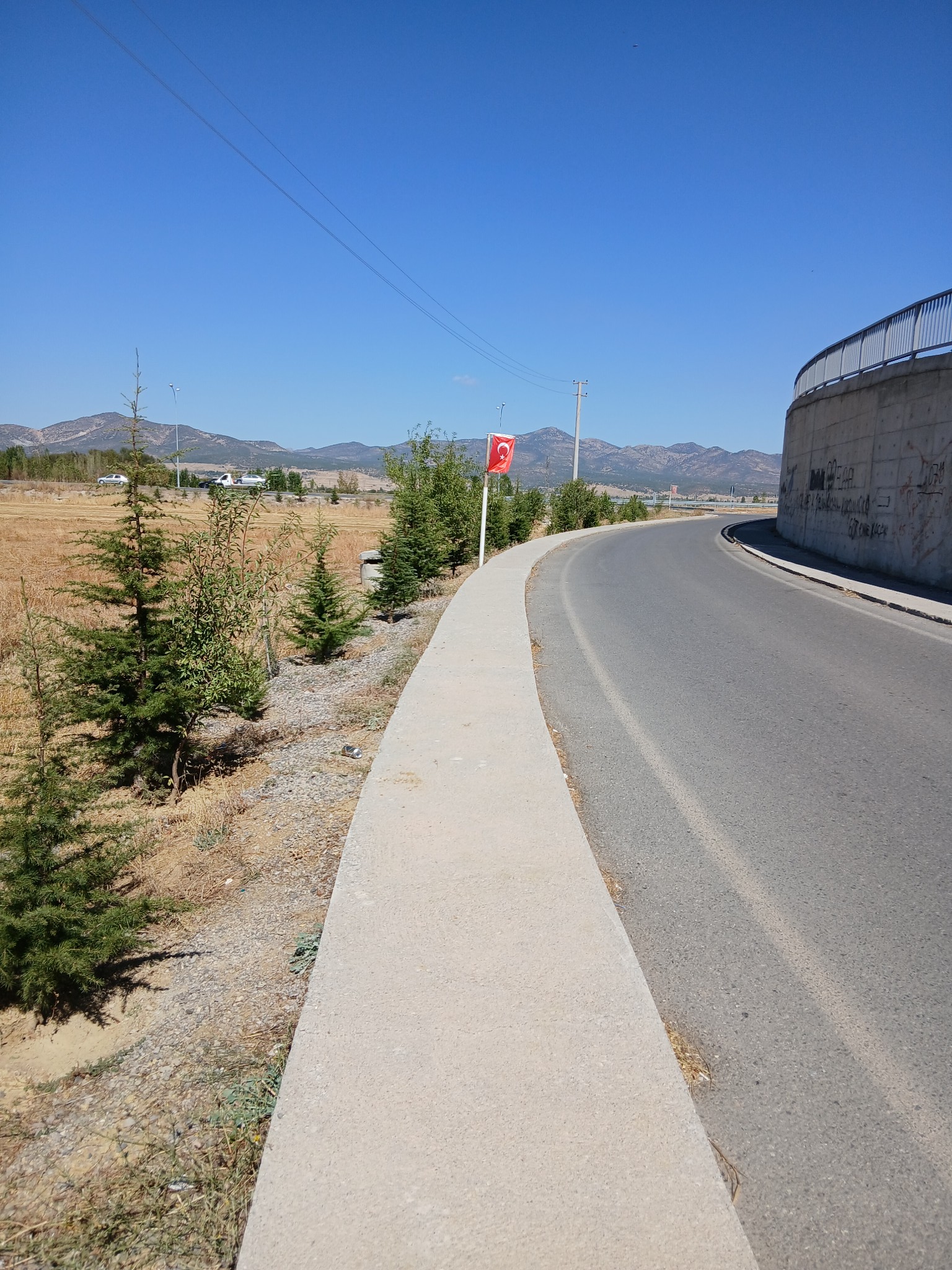 Seydişehir'in 'Ağaç Dedesi' Adil Bilen, Pazar Arabasıyla Su Taşıyıp Diktiği 250 Ağacı Suluyor - Görsel 1