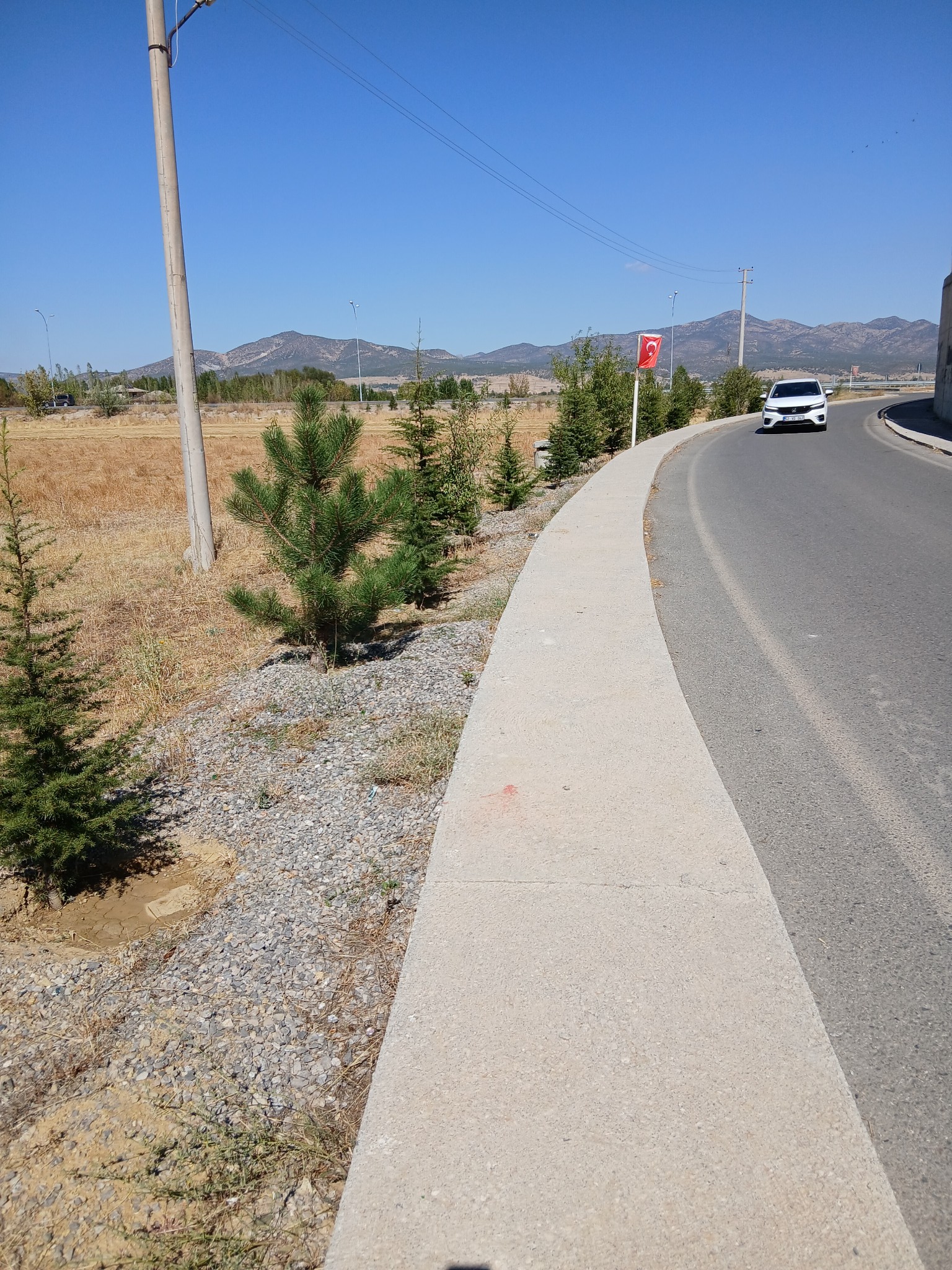 Seydişehir'in 'Ağaç Dedesi' Adil Bilen, Pazar Arabasıyla Su Taşıyıp Diktiği 250 Ağacı Suluyor - Görsel 3