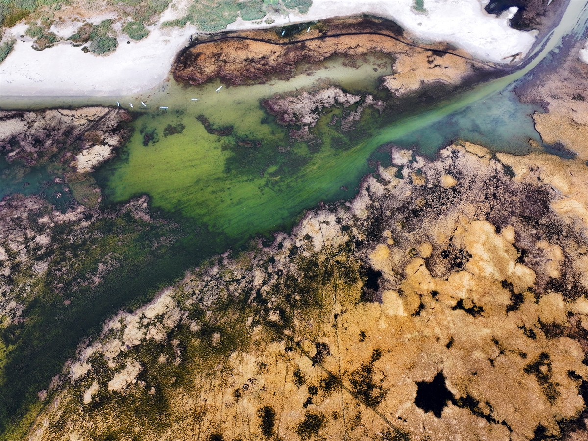 KONYA - Kuraklığın etkisiyle su kaynakları dip seviyeleri gördü - Görsel 2