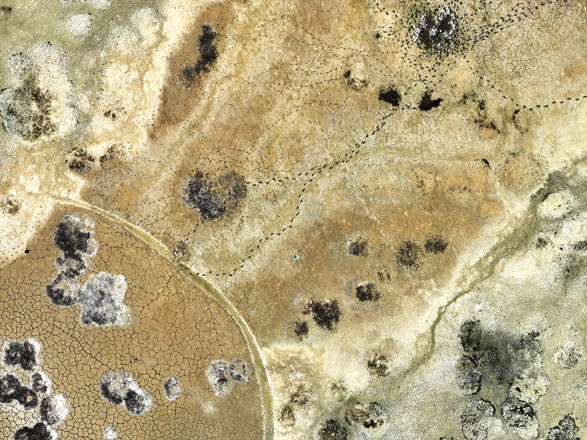 KONYA - Kuraklığın etkisiyle su kaynakları dip seviyeleri gördü - Görsel 6