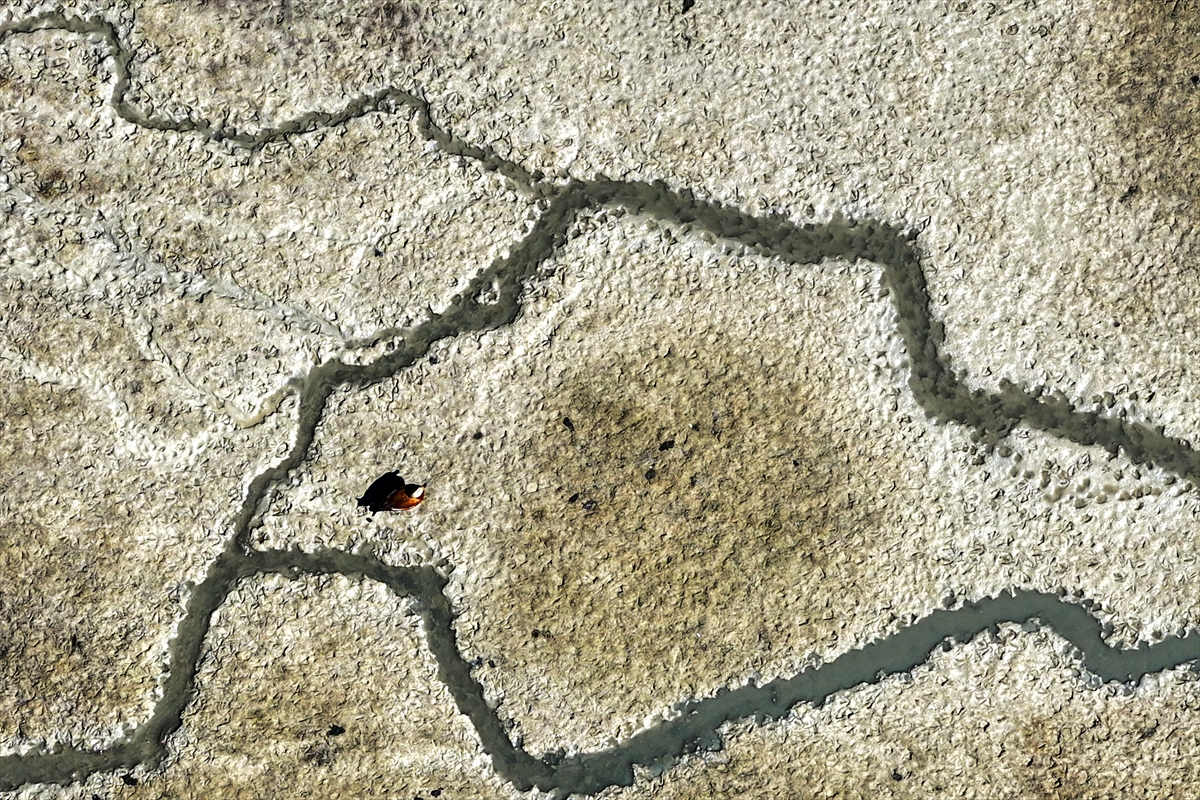 KONYA - Kuraklığın etkisiyle su kaynakları dip seviyeleri gördü - Görsel 7