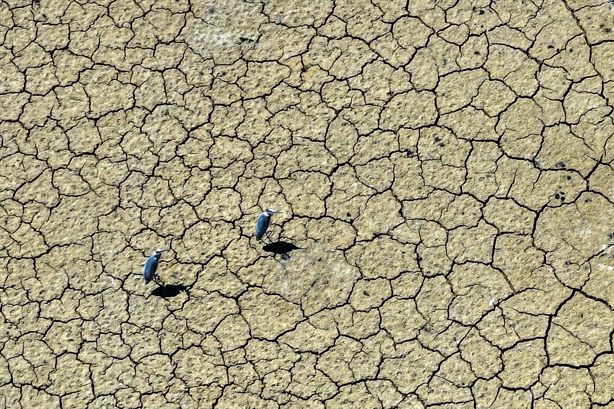 KONYA - Kuraklığın etkisiyle su kaynakları dip seviyeleri gördü - Görsel 8