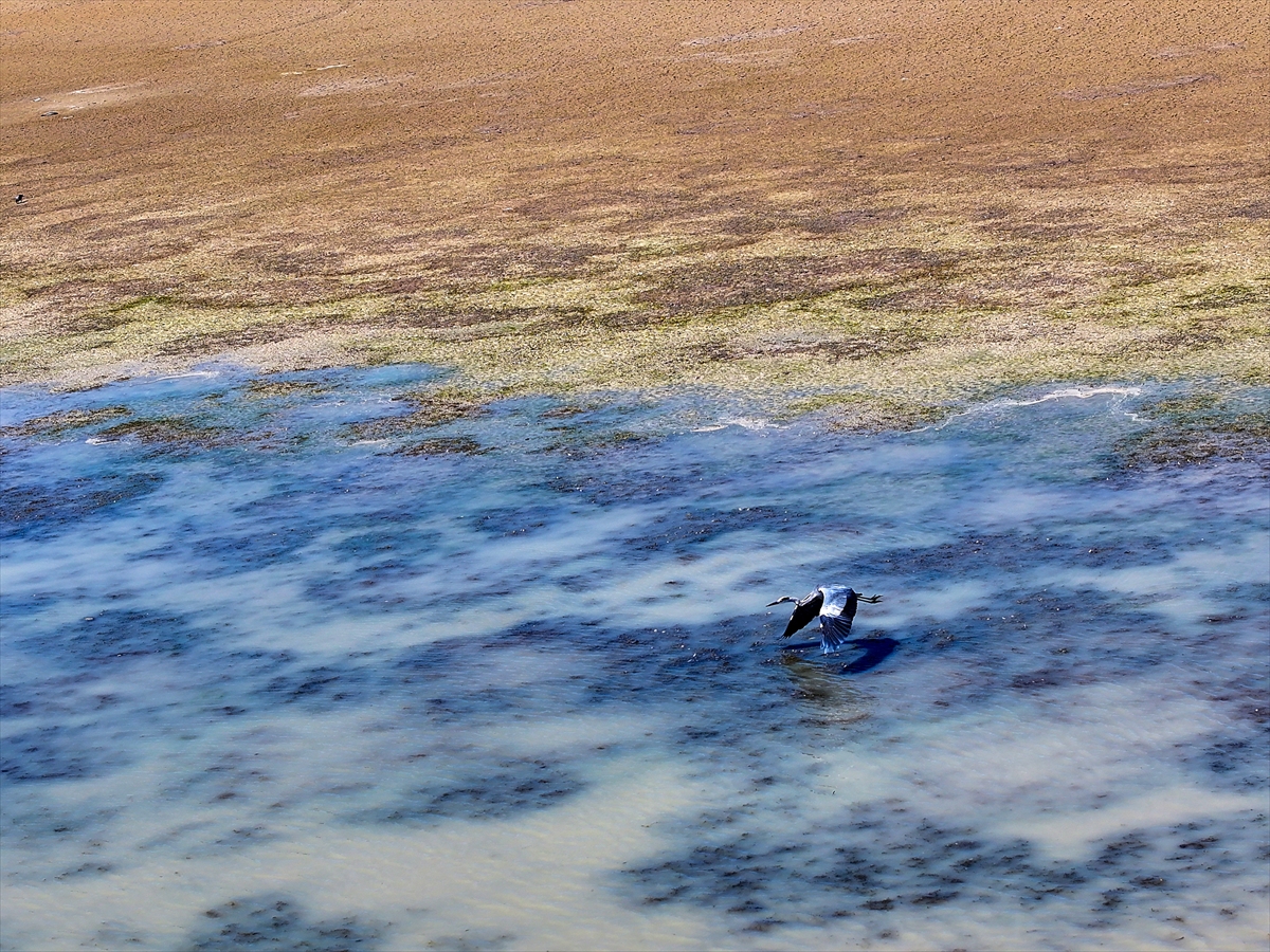 KONYA - Kuraklığın etkisiyle su kaynakları dip seviyeleri gördü - Görsel 9