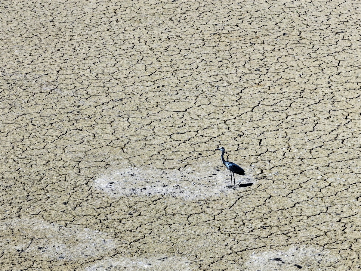 KONYA - Kuraklığın etkisiyle su kaynakları dip seviyeleri gördü - Görsel 10