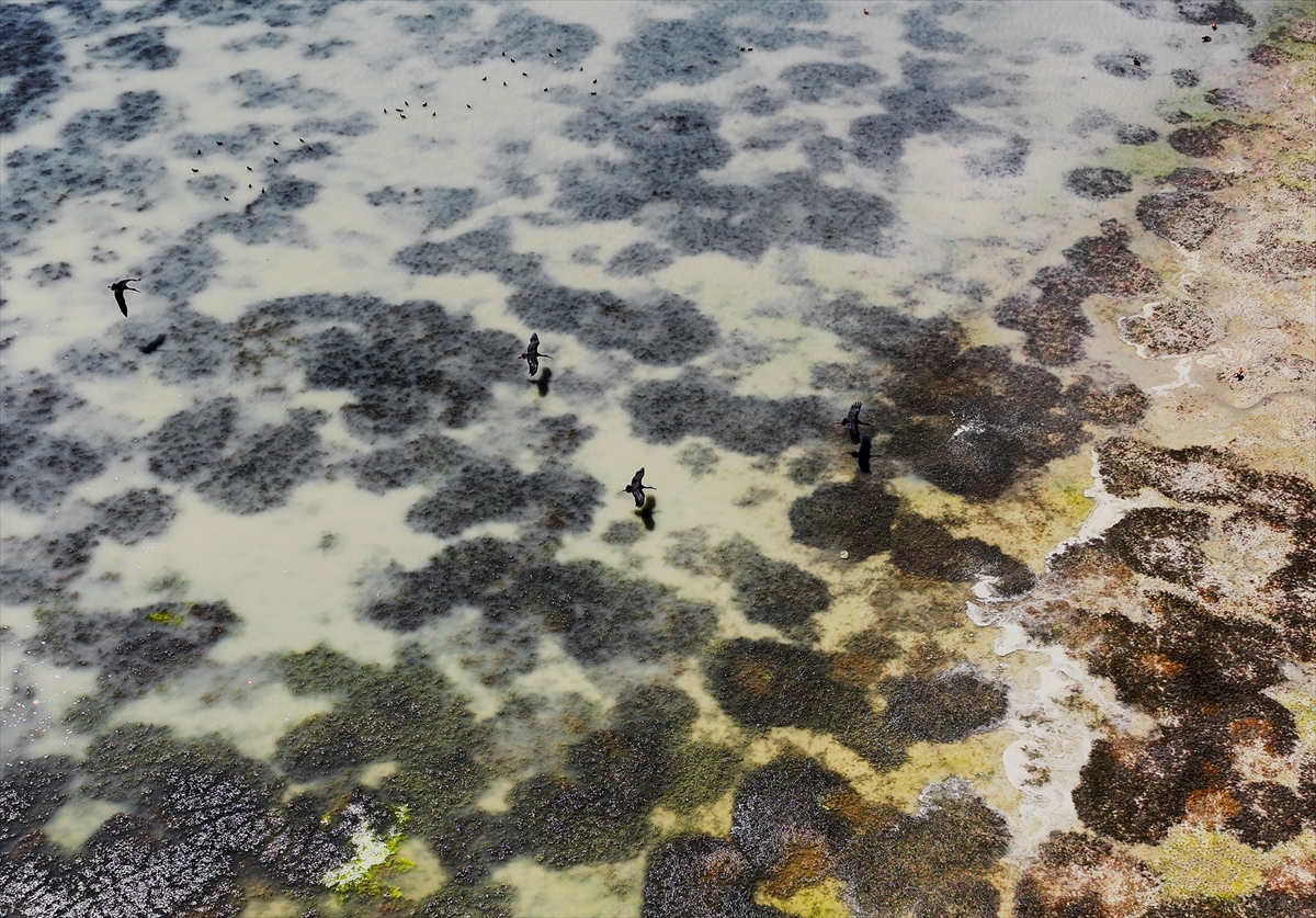 KONYA - Kuraklığın etkisiyle su kaynakları dip seviyeleri gördü - Görsel 11