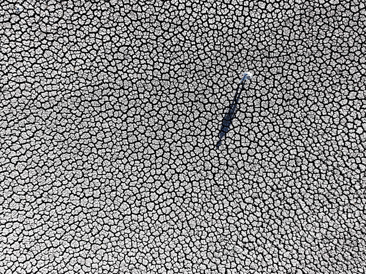 KONYA - Kuraklığın etkisiyle su kaynakları dip seviyeleri gördü - Görsel 16