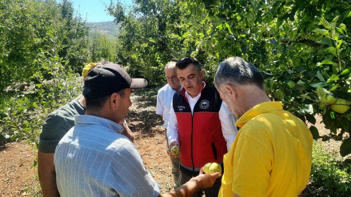 Bozkırda çiftçinin emeği bir günde yok oldu - Görsel 1