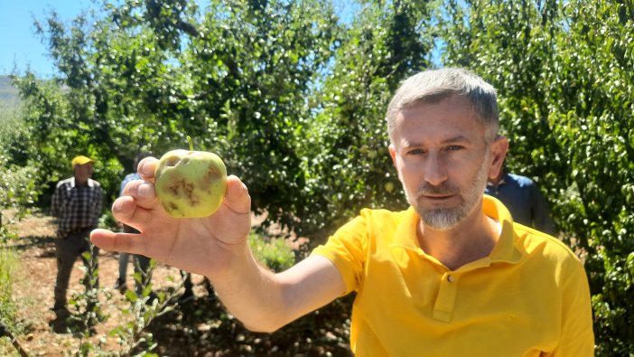 Bozkırda çiftçinin emeği bir günde yok oldu - Görsel 2