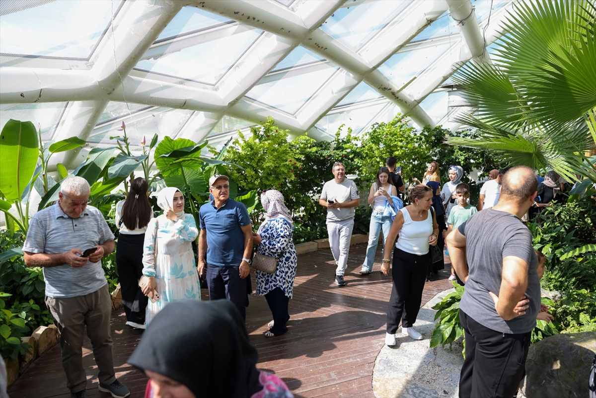 Konya Tropikal Kelebek Bahçesi yaz döneminde 272 bin ziyaretçiyi ağırladı - Görsel 2