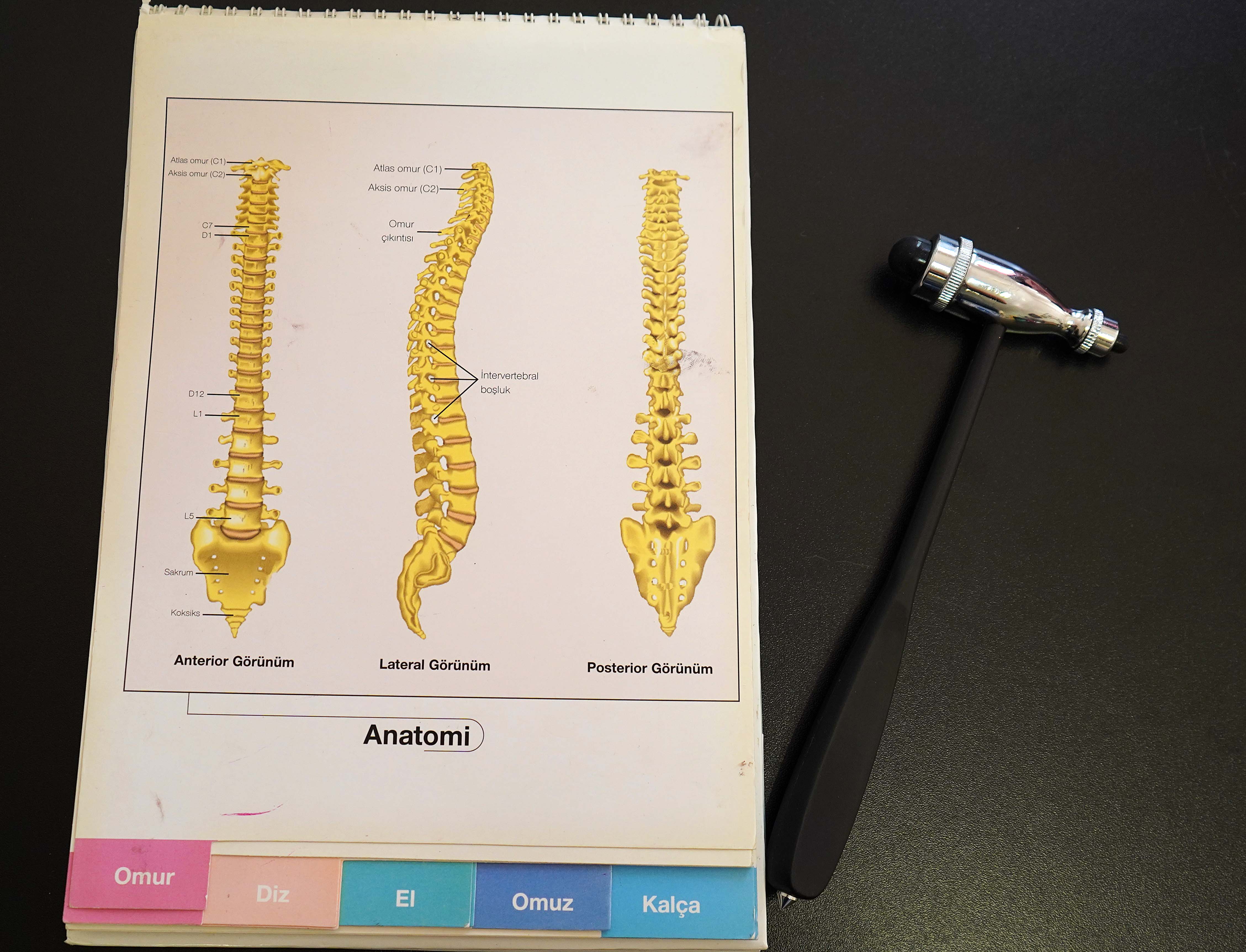 Ağır okul çantaları skolyozu tetikliyor; ağrılar kronikleşiyor - Görsel 5