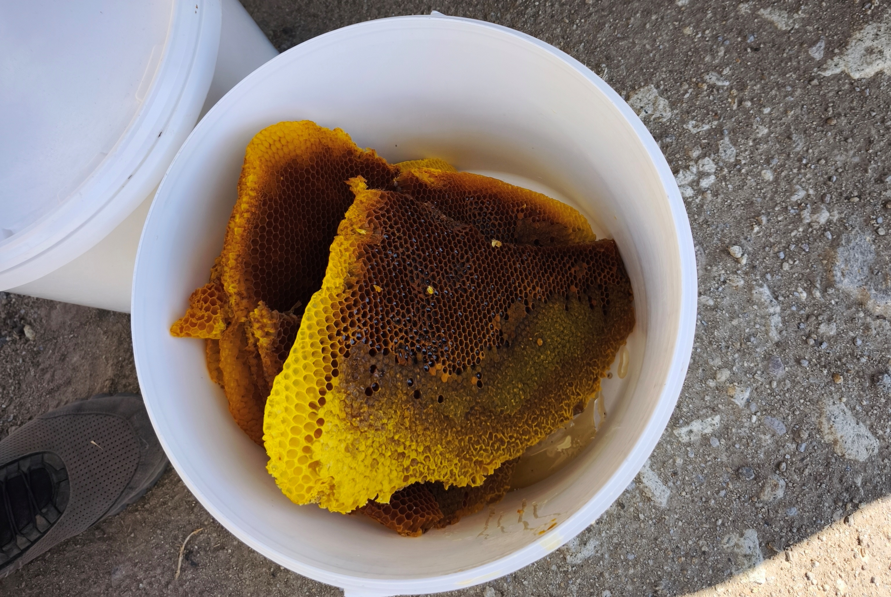 Torosların Kaya Kovuklarında Asırlık Bal Geleneği: Şakir Cırık’ın Doğal Arıcılık Hikâyesi ÖZEL  HABER - Görsel 7