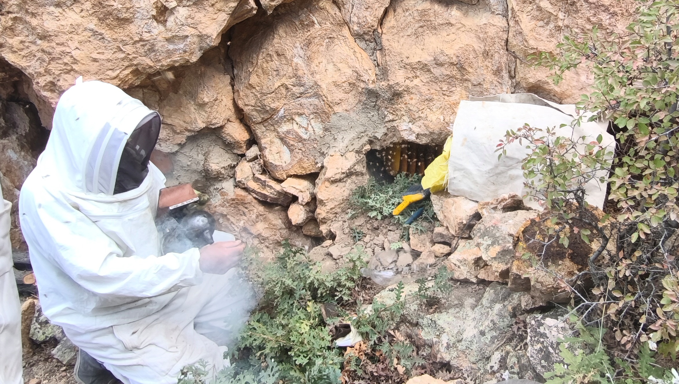 Torosların Kaya Kovuklarında Asırlık Bal Geleneği: Şakir Cırık’ın Doğal Arıcılık Hikâyesi ÖZEL  HABER - Görsel 8