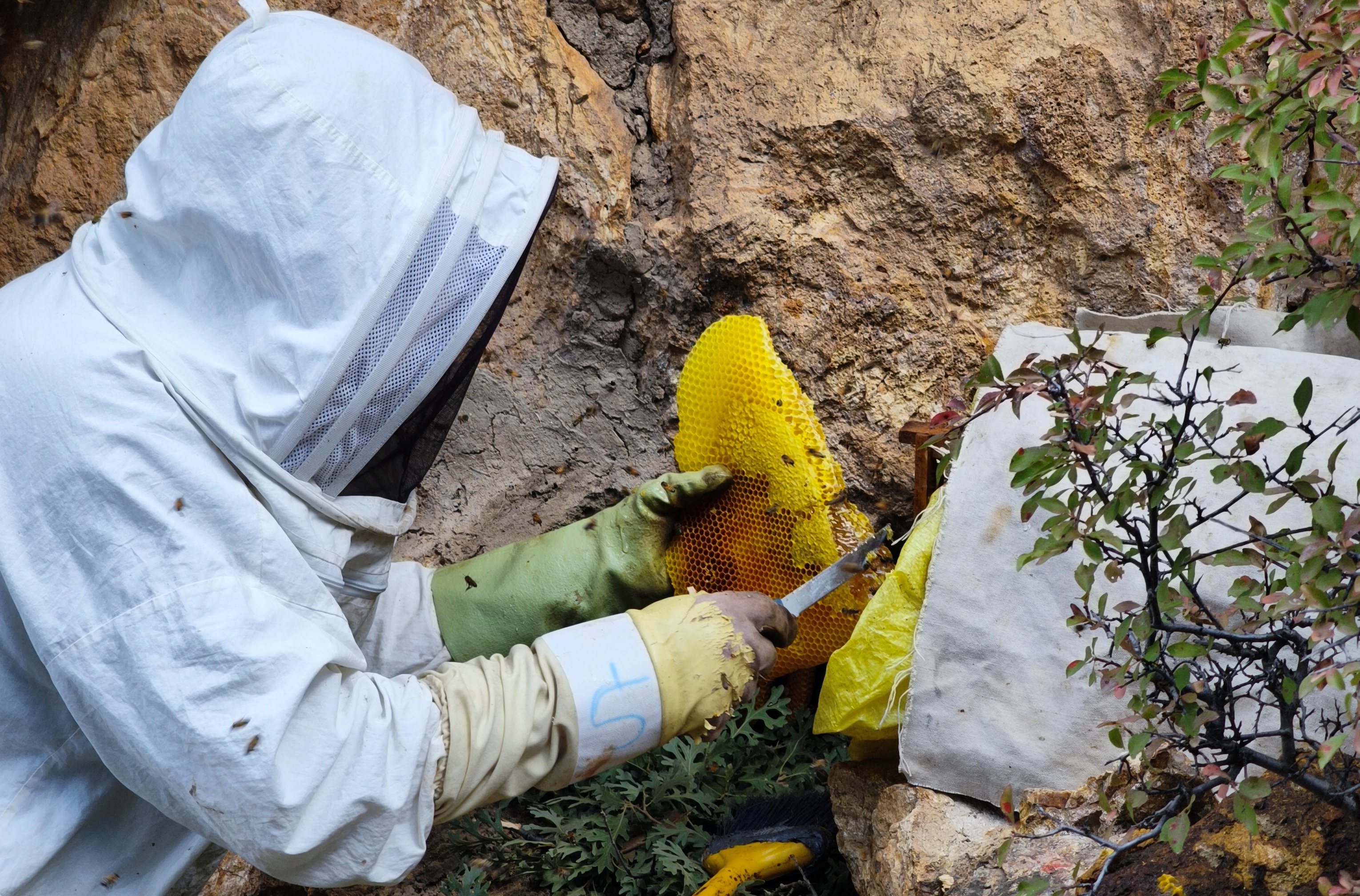 Torosların Kaya Kovuklarında Asırlık Bal Geleneği: Şakir Cırık’ın Doğal Arıcılık Hikâyesi ÖZEL  HABER - Görsel 10