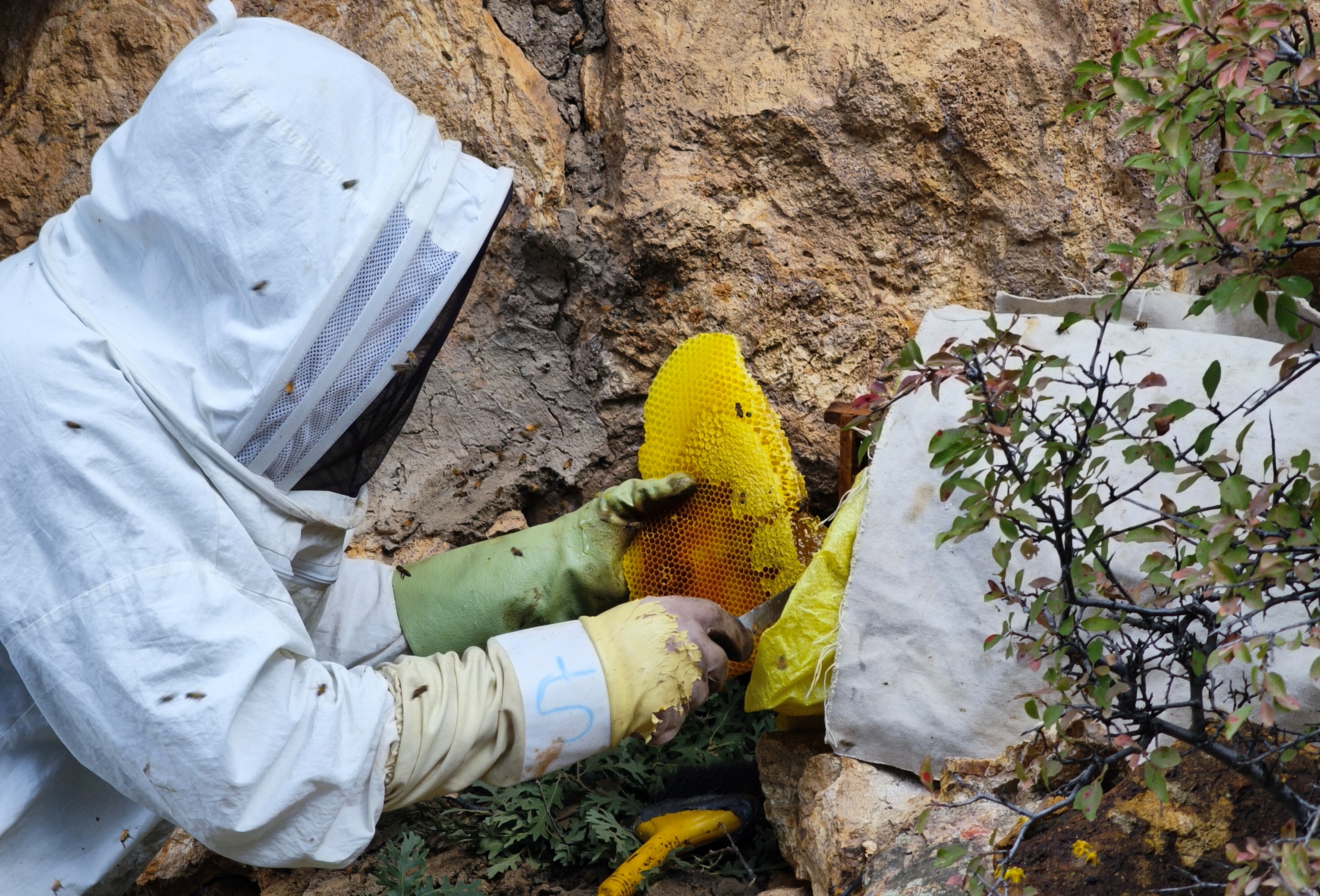 Torosların Kaya Kovuklarında Asırlık Bal Geleneği: Şakir Cırık’ın Doğal Arıcılık Hikâyesi ÖZEL  HABER - Görsel 11