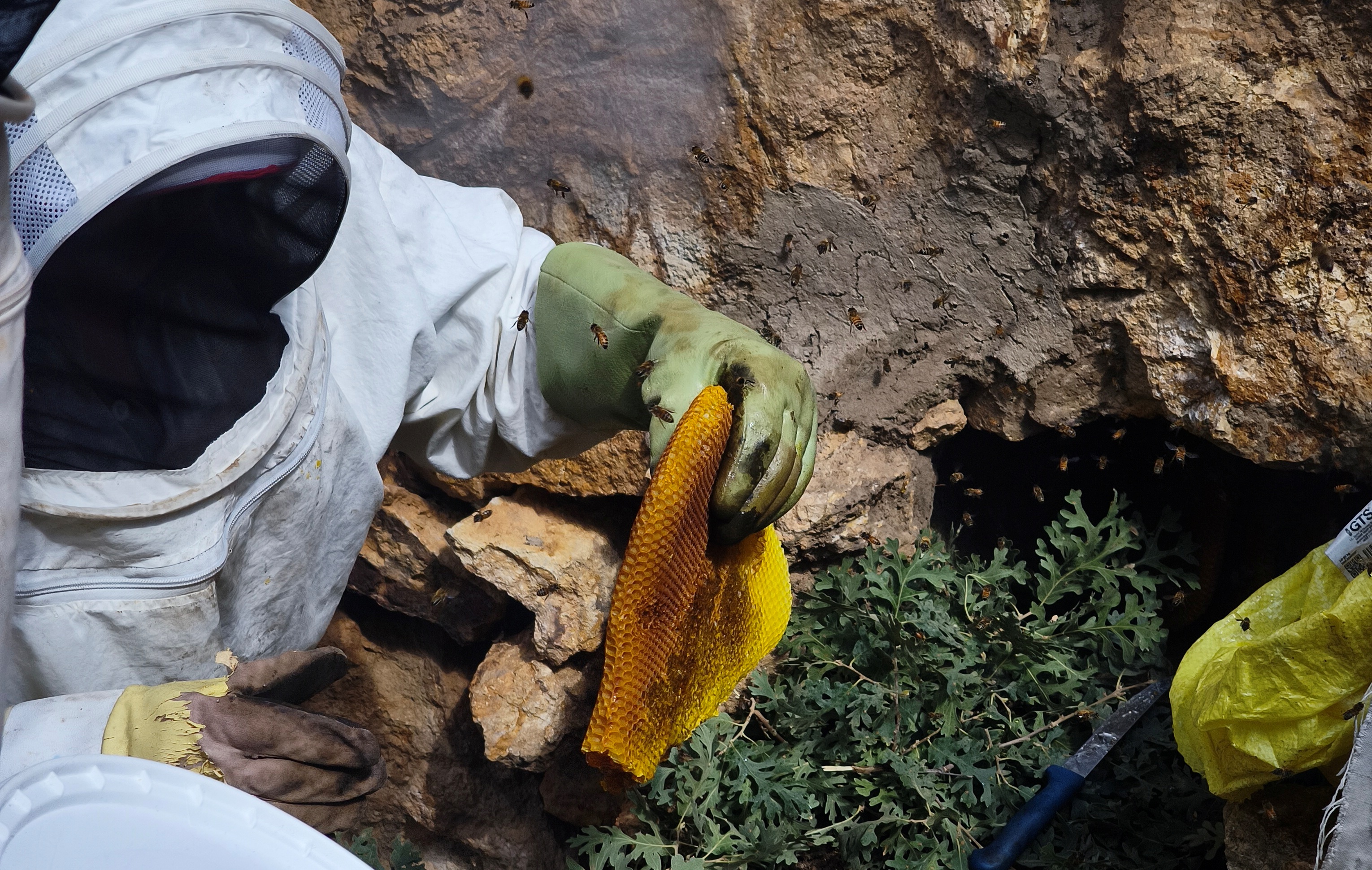 Torosların Kaya Kovuklarında Asırlık Bal Geleneği: Şakir Cırık’ın Doğal Arıcılık Hikâyesi ÖZEL  HABER - Görsel 17