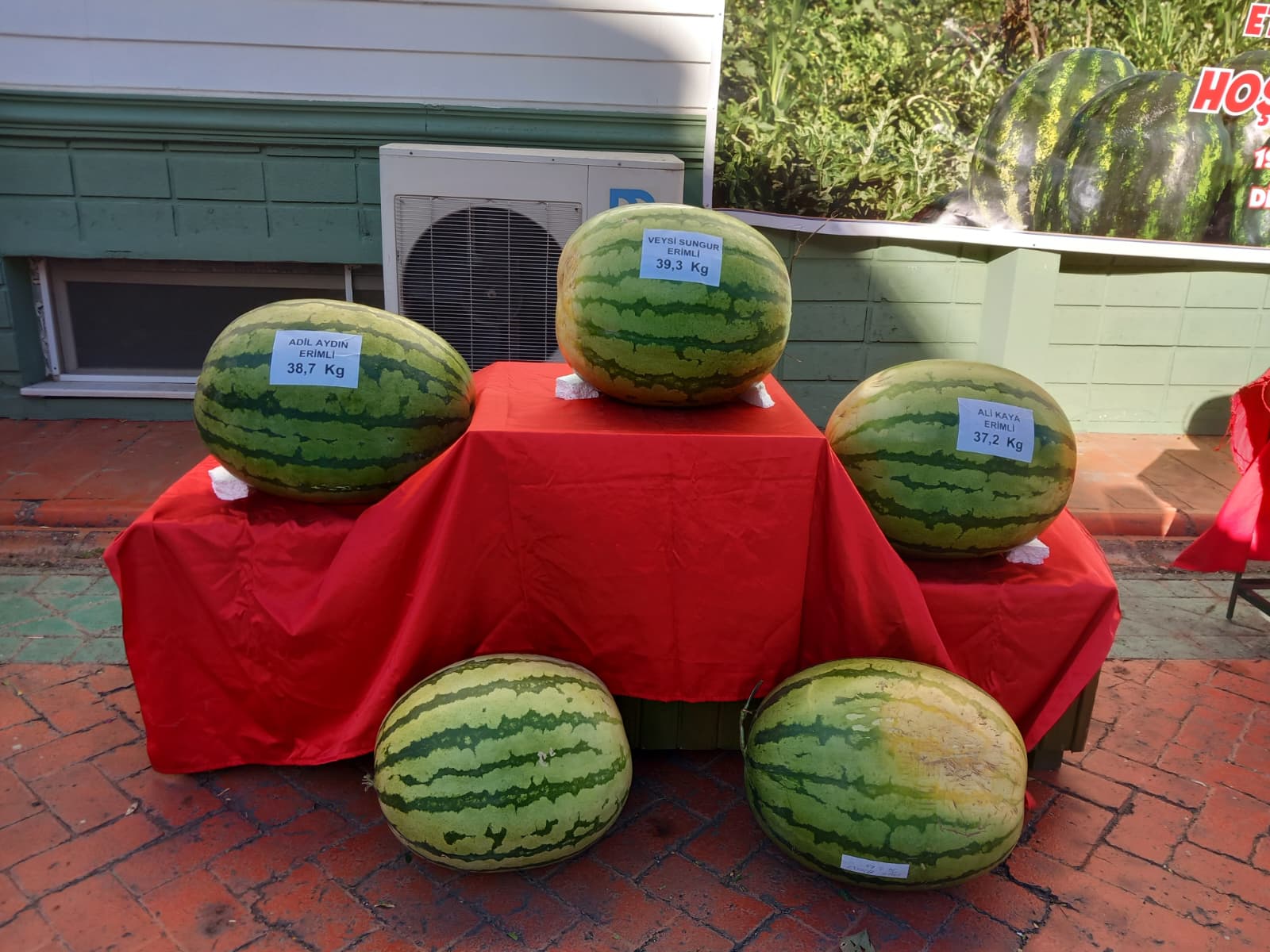 Kuraklığın vurduğu Diyarbakır karpuzunda birincilik 39 kiloda kaldı - Görsel 3