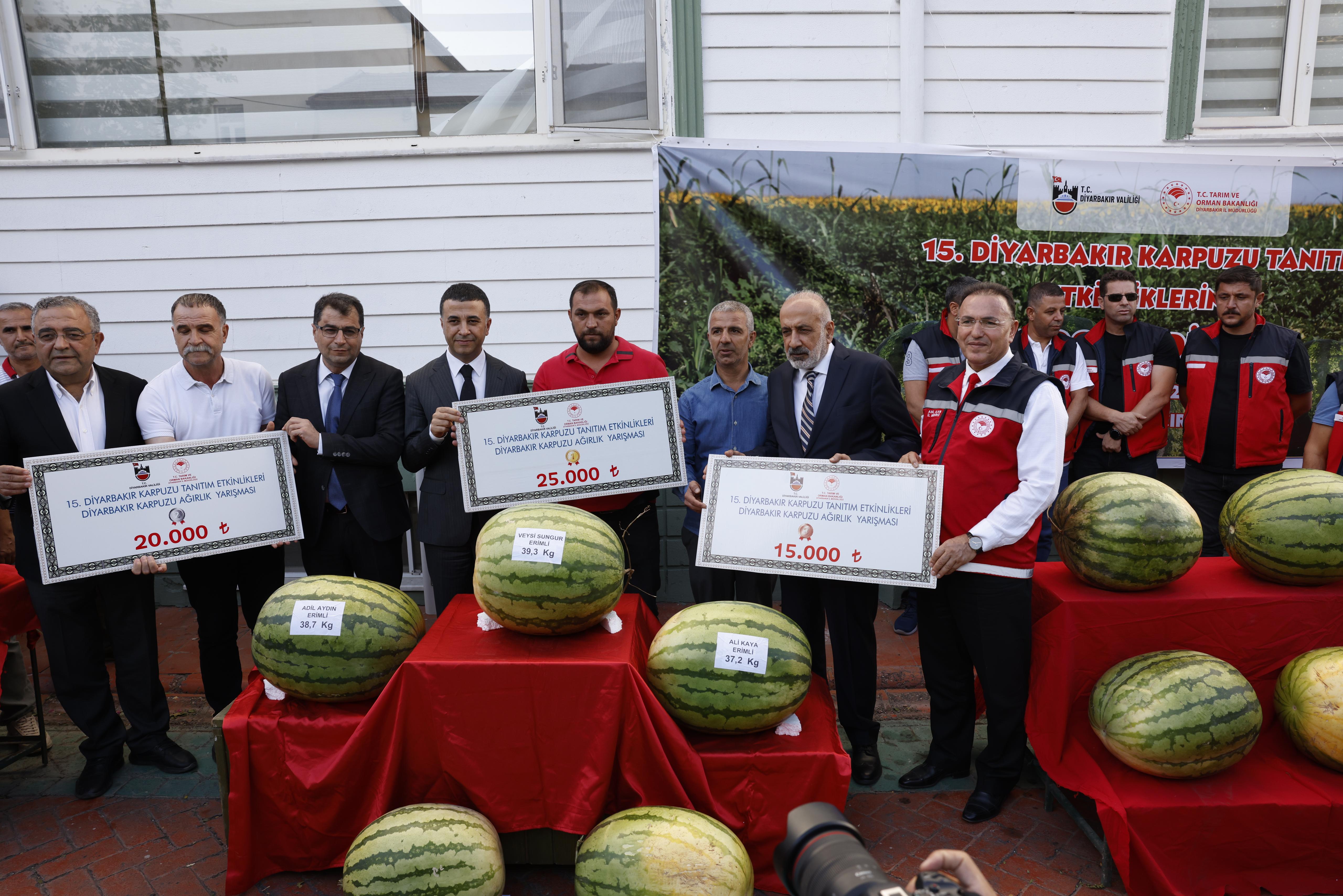 Kuraklığın vurduğu Diyarbakır karpuzunda birincilik 39 kiloda kaldı - Görsel 6