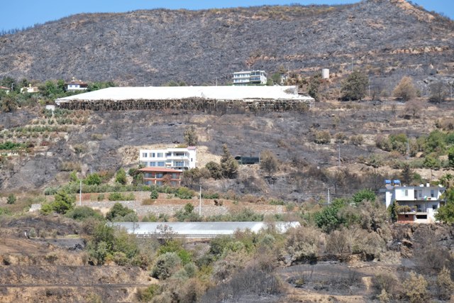 Antalya'daki orman yangınlarında 1350 hektar alan zarar gördü - Görsel 1