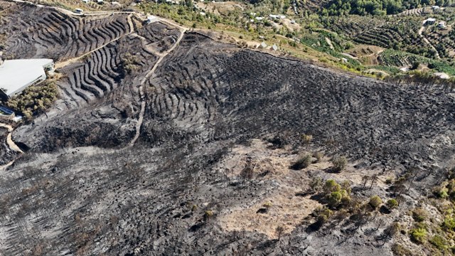 Antalya'daki orman yangınlarında 1350 hektar alan zarar gördü - Görsel 2