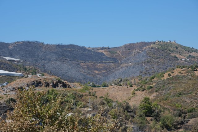 Antalya'daki orman yangınlarında 1350 hektar alan zarar gördü - Görsel 3