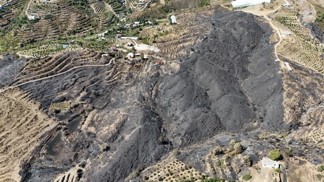 Antalya'daki orman yangınlarında 1350 hektar alan zarar gördü - Görsel 4