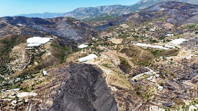 Antalya'daki orman yangınlarında 1350 hektar alan zarar gördü - Görsel 5