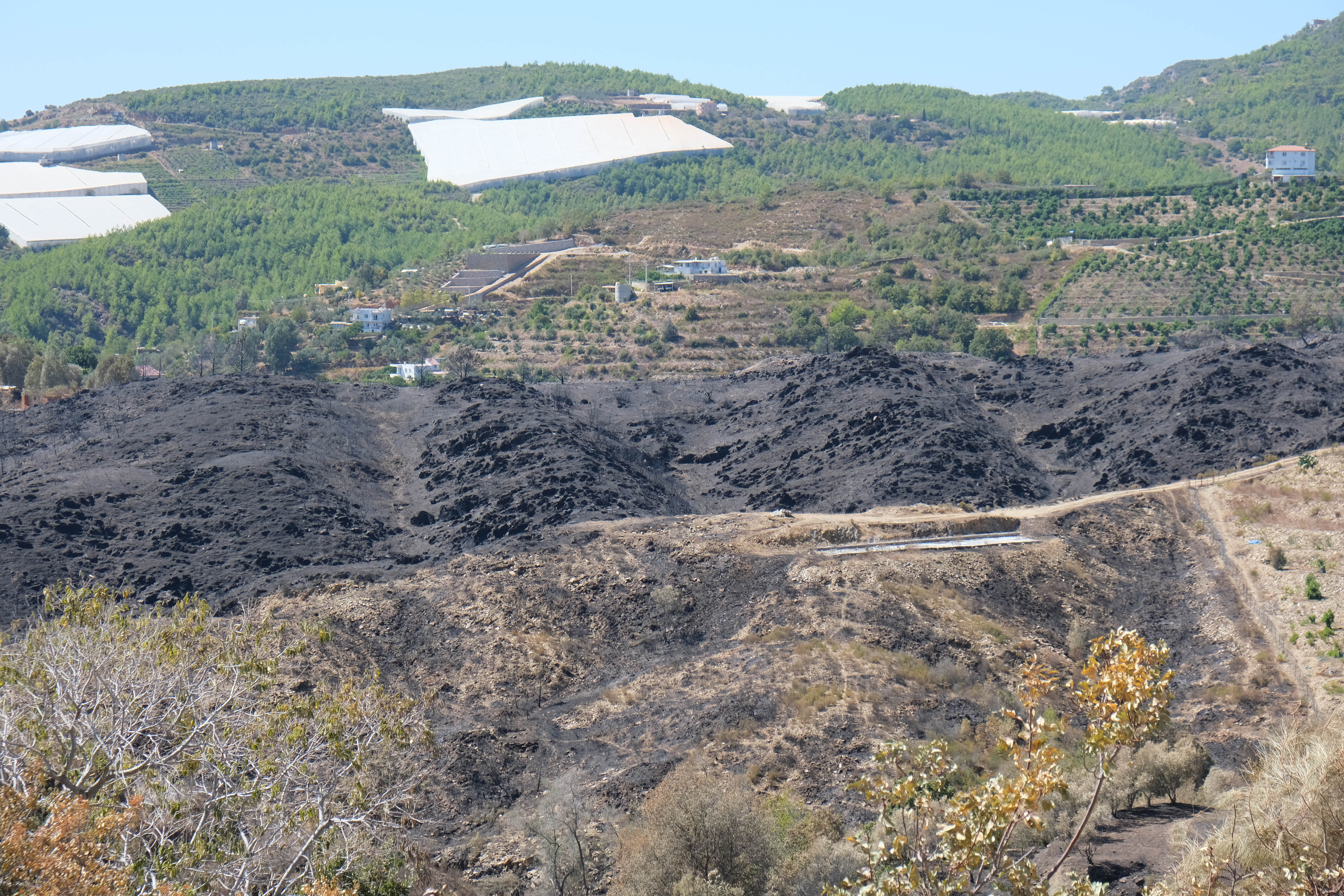 Antalya'daki orman yangınlarında 1350 hektar alan zarar gördü - Görsel 6