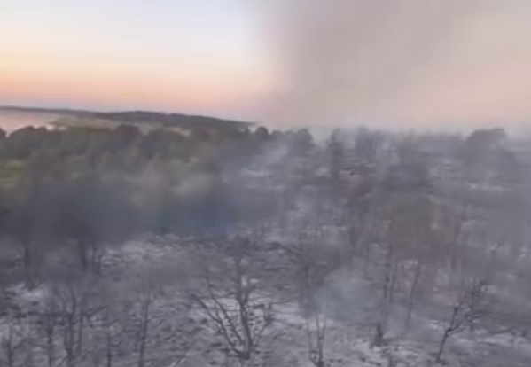 Beyşehir'de Sazlıkta Çıkan ve Ormana Sıçrayan Yangın Kontrol Altına Alındı - Görsel 1