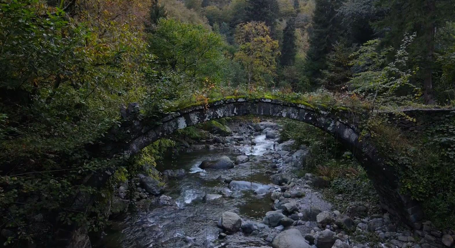 Artvin- Asırlara meydan okuyan tarihi taş köprü selde yıkıldı  - Görsel 3