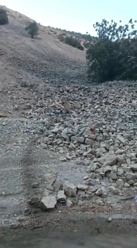 Elâzığ'da Baraj gölüne düşen dağ keçisini balıkçılar kurtardı; o anlar kamerada - Görsel 4