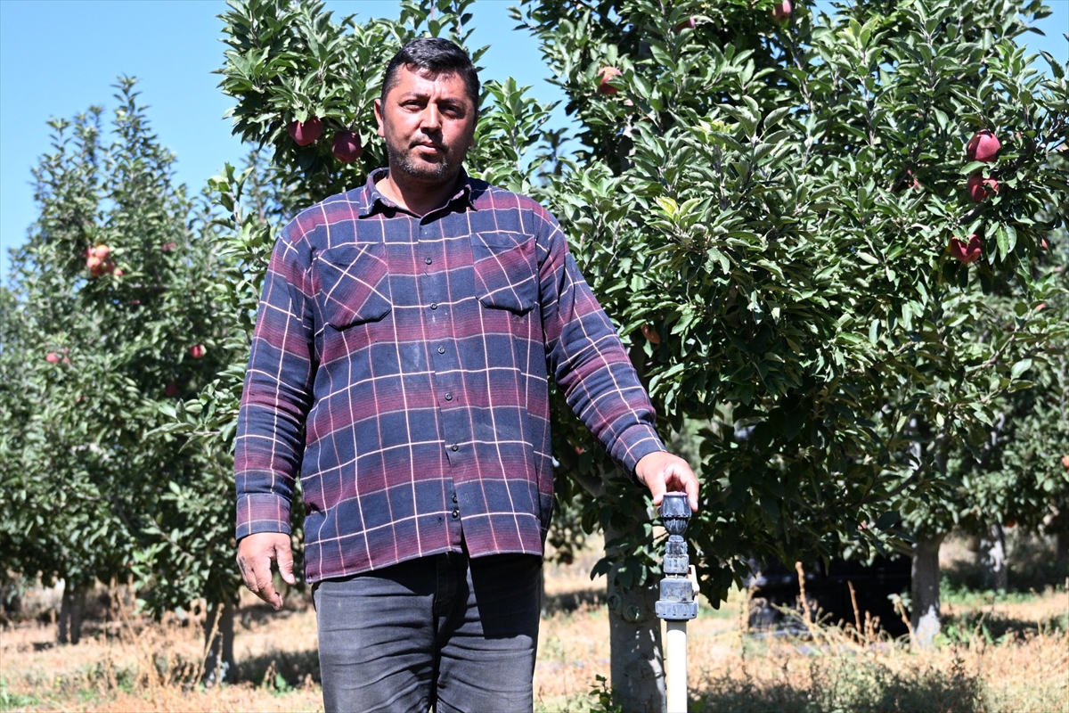 Elma bahçesini "spring su uygulaması" ile zirai dondan koruyan üretici hasada başladı - Görsel 6